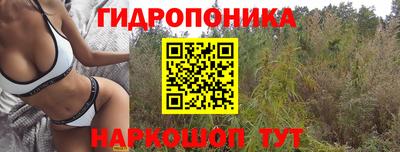 мдпв Пугачёв
