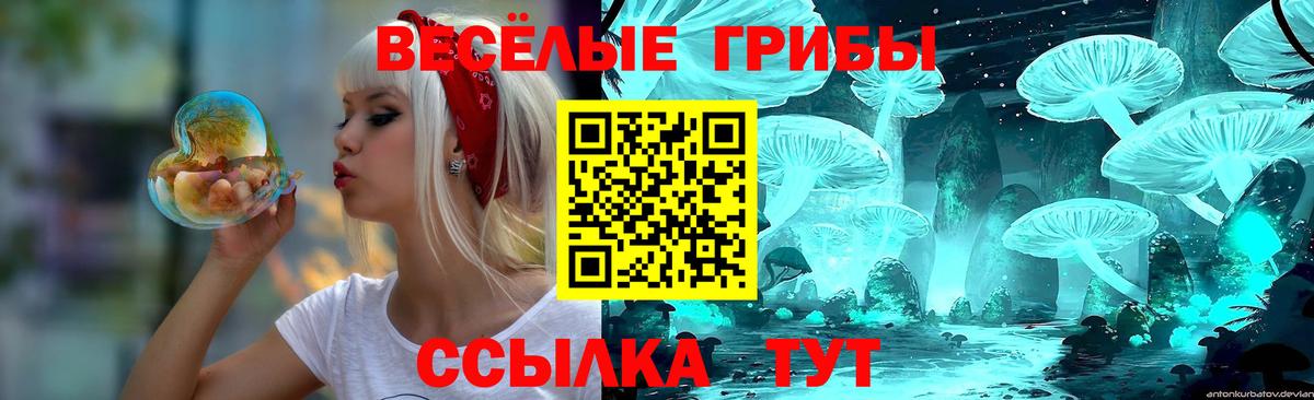 Стрежевой  где можно купить наркотик  Вход с VPN  Псилоцибиновые грибы Psilocybe 