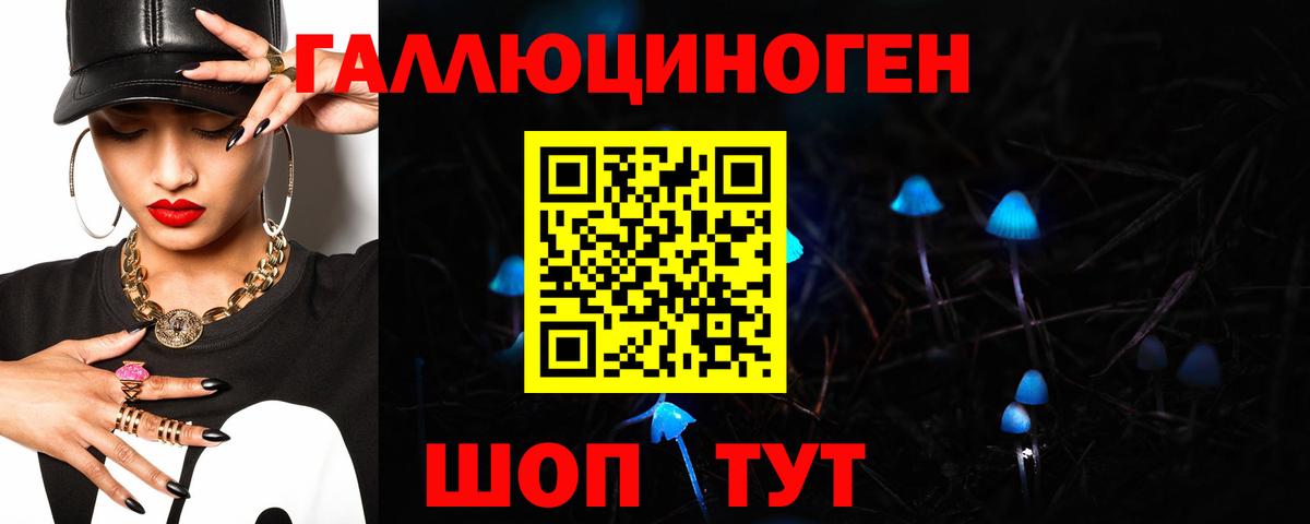 Галлюциногенные грибы Psilocybine cubensis Стрежевой